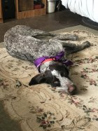 IMG_5268.jpeg