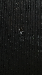 IMG_4428.PNG