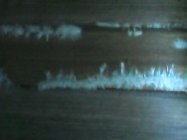IMG110101-000208F.JPG