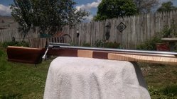 IMG_20210514_144738950.jpg