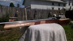 IMG_20210514_144713167.jpg