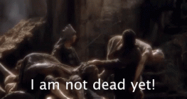 4F9AF2A4-AFE6-42A6-B401-8A418BA0B1BC.gif