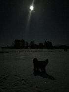 ED51710E-E313-475B-B0AC-79837303CD51.jpeg