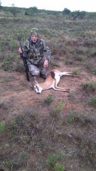 springbok_one.jpg