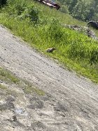 22C5736C-7A08-4D62-ADA2-988088DE103C.jpeg