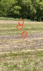 EA153471-E550-4910-BD48-EFF112CF4DF1.jpeg