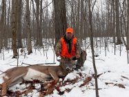deer_high contrast.jpg
