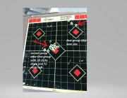 at 100 yards after bore site.jpg