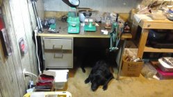IMG_20200518_192736.jpg