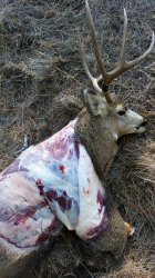 2016-01-09 14.27.09.jpg