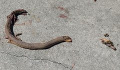0618211554_HDR2.jpg