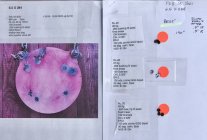 6,5X284_RL22_139scnr.jpg