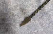 die nylon scrubber.jpg
