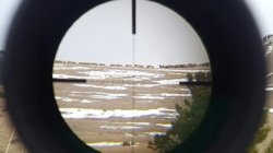 SCOPED ELK blown.jpg