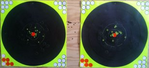 223(L) 308(R).jpg