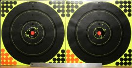C-IV Targets 1 and 2 600 yd crop.jpg