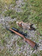 IMG_2805.jpeg