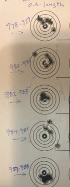 sorted ammo.jpg