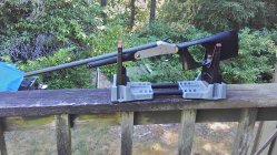 IMG_20210726_114933.jpg