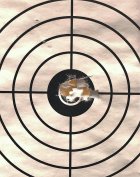 5 at 50 Impaxt .25 cal.jpg