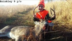 brinkleydeer.jpg