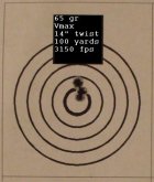 Sav 99 14 in twist 100 yards 65 gr Vmax 3150 fps.jpg