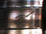 PICT0004-2.jpg