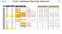 17-222 - Load Data (20gr Bullets).PNG