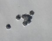 7B315E85-06BB-41CB-A1D9-89C14222F824.jpeg