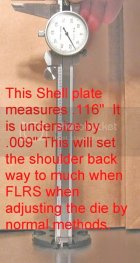 DillonShellPlate.jpg