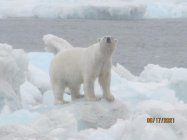IMG_4305.jpg