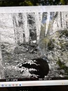 64C40167-51BF-4656-8EF4-67DFD57577F9.jpeg