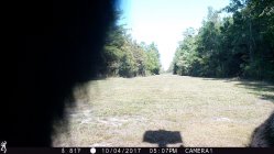 IMG_0165.JPG