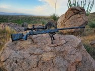 Cerakote 2.jpg