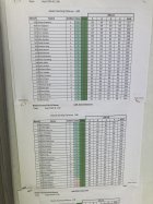 IMG_2959.jpeg