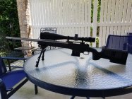 .308 Tactical #2.jpg