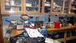 IMG_20210815_131647685.jpg
