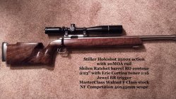 FSBR rifle.jpg