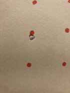 E7205E4C-A226-488E-84BE-226AF3369F0C.jpeg