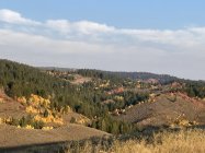 71A0328C-CF07-47D1-A0F6-939BA08C9052.jpeg