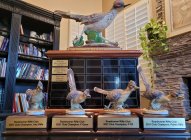RRC-Trophies.jpg