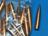 Bullets.JPG