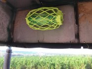 IMG_3620.jpeg IMG_3620.jpeg