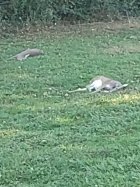IMG_20211021_171430273.jpg