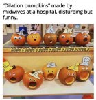 76A12D3B-4025-4F52-88F4-293A9BE2232F.jpeg