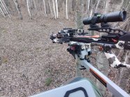 IMG_20211030_173510.jpg