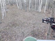 IMG_20211030_173519.jpg