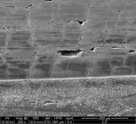 2INCH 250X.jpg 2INCH 250X.jpg