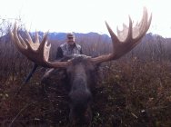 2014 Moose closeup.jpg