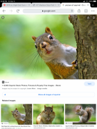 243AD1C2-D1EE-445A-A49A-8EE4D379447B.png